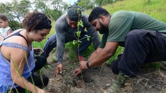 Rio: mutirão na Serra do Vulcão promove ações climáticas da periferia Rio: mutirão na Serra do Vulcão promove ações climáticas da periferia