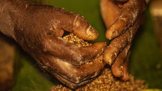 GO: grileiros ameaçam pesquisadores do Incra em área com quilombolas