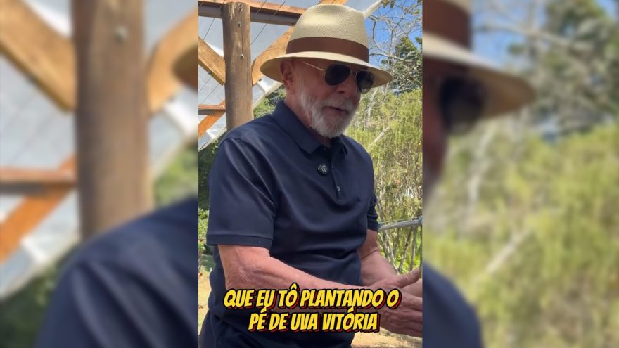 “Não adianta Trump taxar a uva brasileira”, afirma Lula ao plantar pé de uva no Alvorada