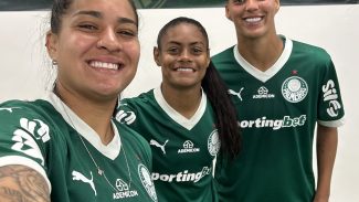 Palmeiras e Cruzeiro vão duelar nas semifinais do Brasileirão Feminino Palmeiras e Cruzeiro vão duelar nas semifinais do Brasileirão Feminino