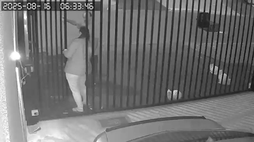 Moradora aciona polícia após ser ameaçada pelo vizinho por alimentar gatos de rua em Cascavel