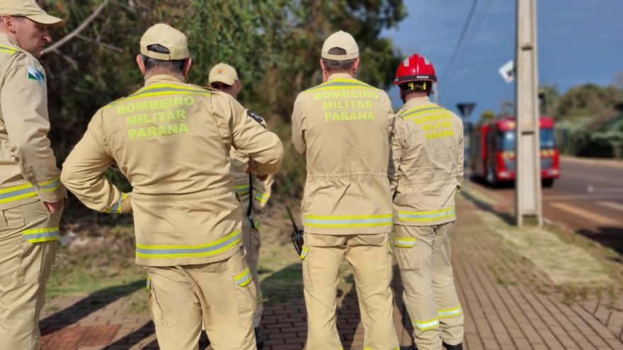 Bombeiros iniciam buscas por onça que foi avistada no Bairro Tropical