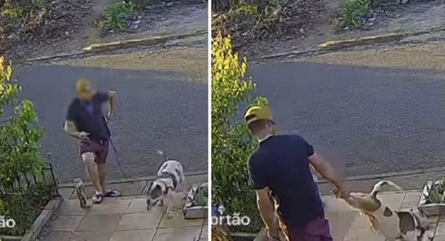 Tutor é flagrado instigando ataque de Pitbull no Morumbi