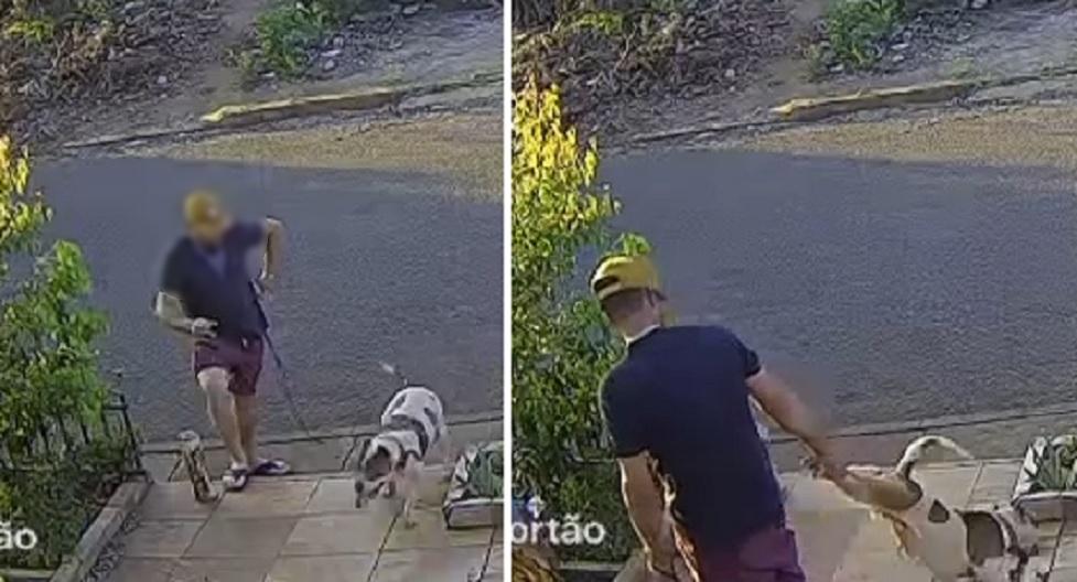 Tutor é flagrado instigando ataque de Pitbull no Morumbi