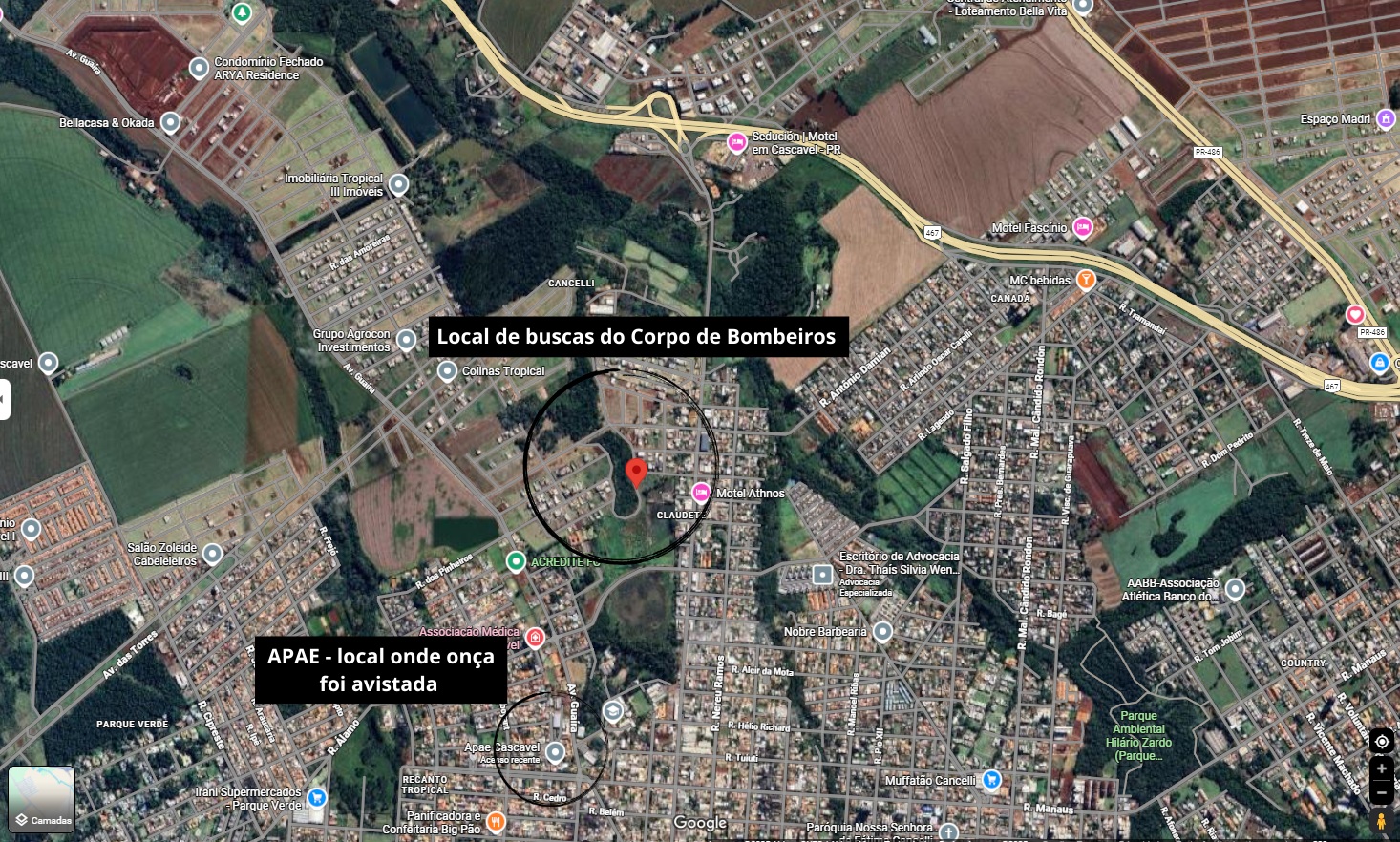 Veja local onde Bombeiros realizam buscas pela onça em Cascavel
