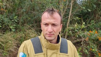 Bombeiros encontram rastros da onça-parda na área de mata do Bairro Tropical Bombeiros encontram rastros da onça-parda na área de mata do Bairro Tropical