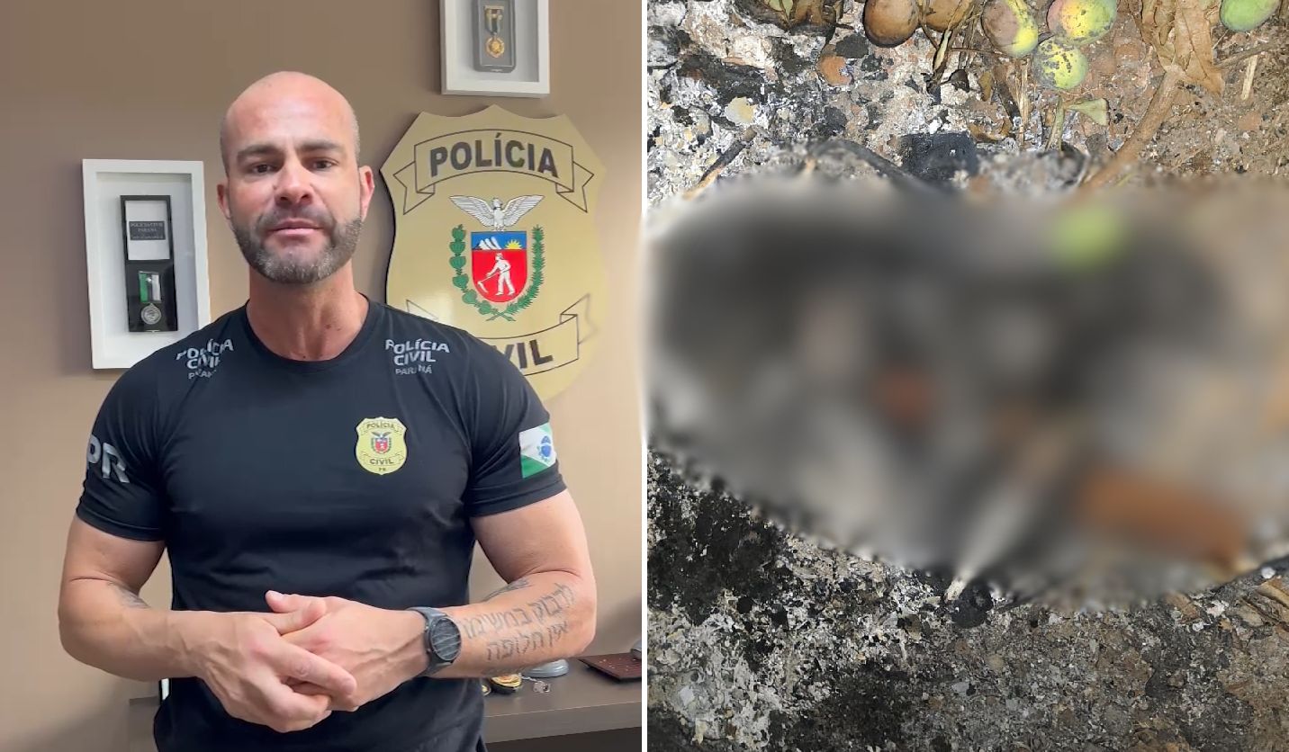 "Homem teria dado uma paulada na cabeça e incendiado um animal", afirma delegado