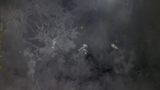 Cadê a onça? Com apoio aéreo, equipes seguem realizando buscas pelo animal Cadê a onça? Com apoio aéreo, equipes seguem realizando buscas pelo animal