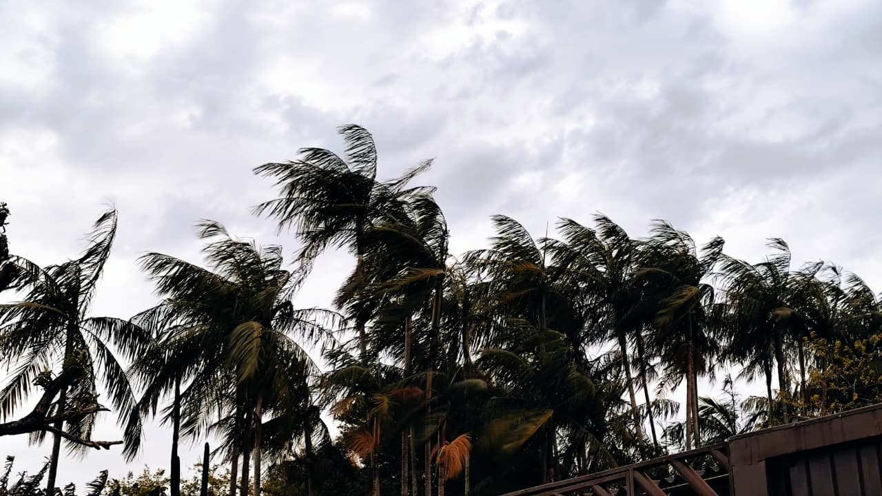 Proteja-se: Defesa Civil emite alerta de vendaval em Cascavel