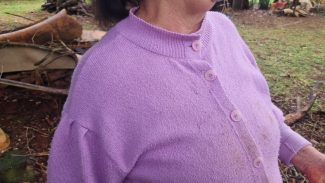 “Vi o reflexo dos olhos da onça “Vi o reflexo dos olhos da onça