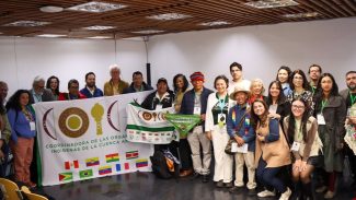 Organizações sociais querem participação na governança da OTCA