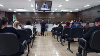 'Ela deixou o processo guardado na gaveta' alega servidora em CPI do 