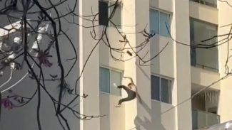 Homem que morreu ao cair de prédio em Curitiba estava em surto psicótico