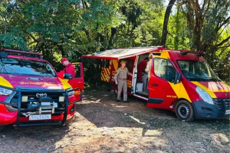 Polícia Civil e Bombeiros voltam a intensificar buscas por desaparecidos em Icaraíma Imagem referente a Polícia Civil e Bombeiros voltam a intensificar buscas por desaparecidos em Icaraíma