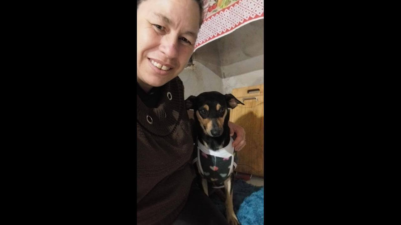 Cachorra Melissa desapareceu no bairro Nova Cidade Cachorra Melissa desapareceu no bairro Nova Cidade