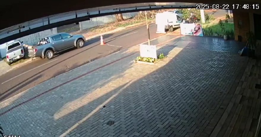 Veja o vídeo da árvore que caiu de forma inesperada em carro no Alto Alegre