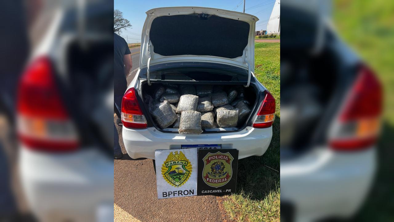 BPFRON e PF prendem mulher com mais de 130 kg de maconha na BR-277