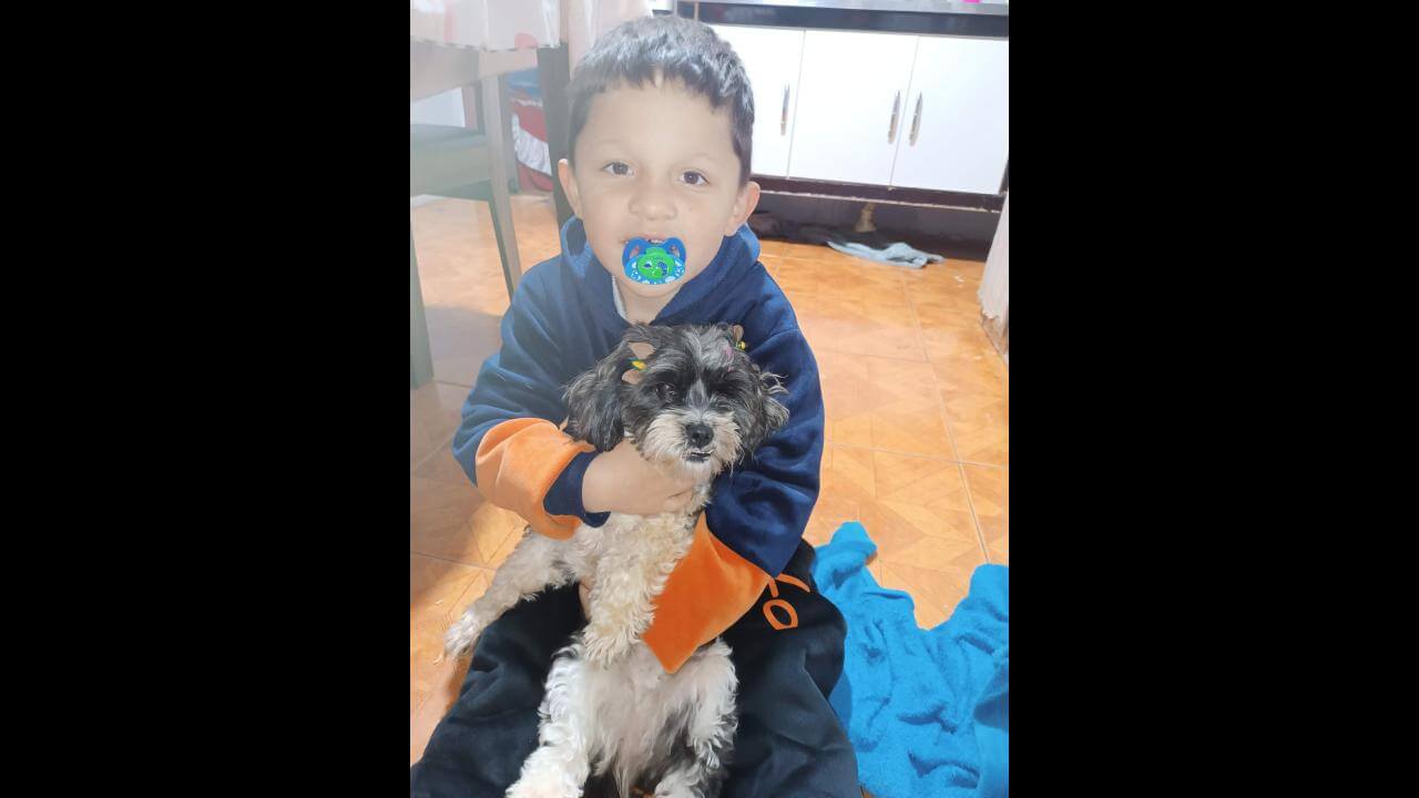 Cachorra Luna desapareceu no bairro Interlagos