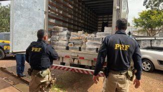 PRF: Maconha apreendida em caminhão totalizou 976,7 quilos