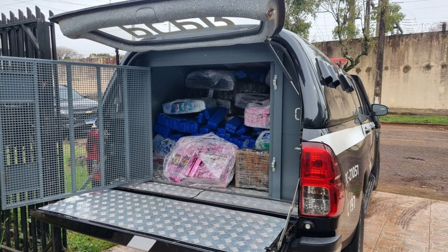 Grande quantidade de maconha é apreendida pela Polícia Civil em imóvel no Jardim Gramado