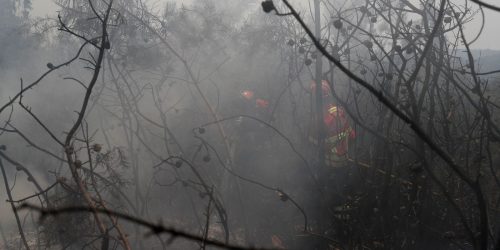 Imagem referente a UE: incêndios florestais já queimaram mais de 1 milhão de hectares