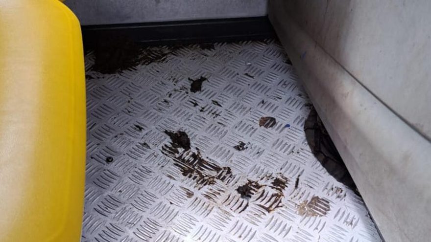 Passageiro não segura a dor de barriga e causa constrangimento em ônibus coletivo de Cascavel