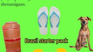 Vocação brasileira para memes ganha exposição no CCBB Vocação brasileira para memes ganha exposição no CCBB