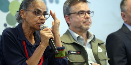 Instituto Chico Mendes chega a 18 anos com soluções e desafios Imagem referente a Instituto Chico Mendes chega a 18 anos com soluções e desafios