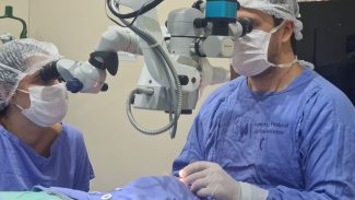 Tempo de espera por transplante de córnea no Brasil dobra em 10 anos