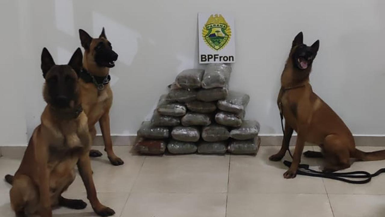 BPFRON prende homem com 18 kg de maconha em Santo Antônio do Sudoeste
