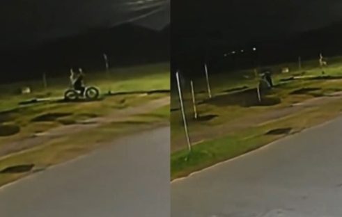 Câmeras flagram homem destruindo 48 mudas de árvores às margens de rio Câmeras flagram homem destruindo 48 mudas de árvores às margens de rio