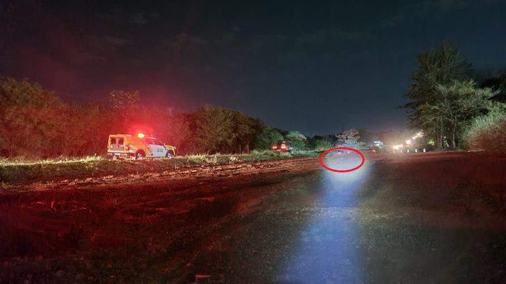 Possível artefato explosivo é encontrado às margens da BR-369, em Cascavel