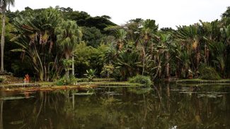 Concurso de Fotografia integra programação do Dia Mundial da Limpeza