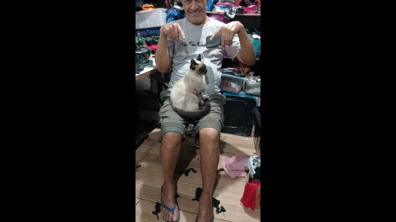 Gato Miuzinho desapareceu no bairro Brasília
