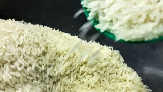 Conab anuncia R$ 300 milhões para produtores de arroz na safra 2025/26 Conab anuncia R$ 300 milhões para produtores de arroz na safra 2025/26