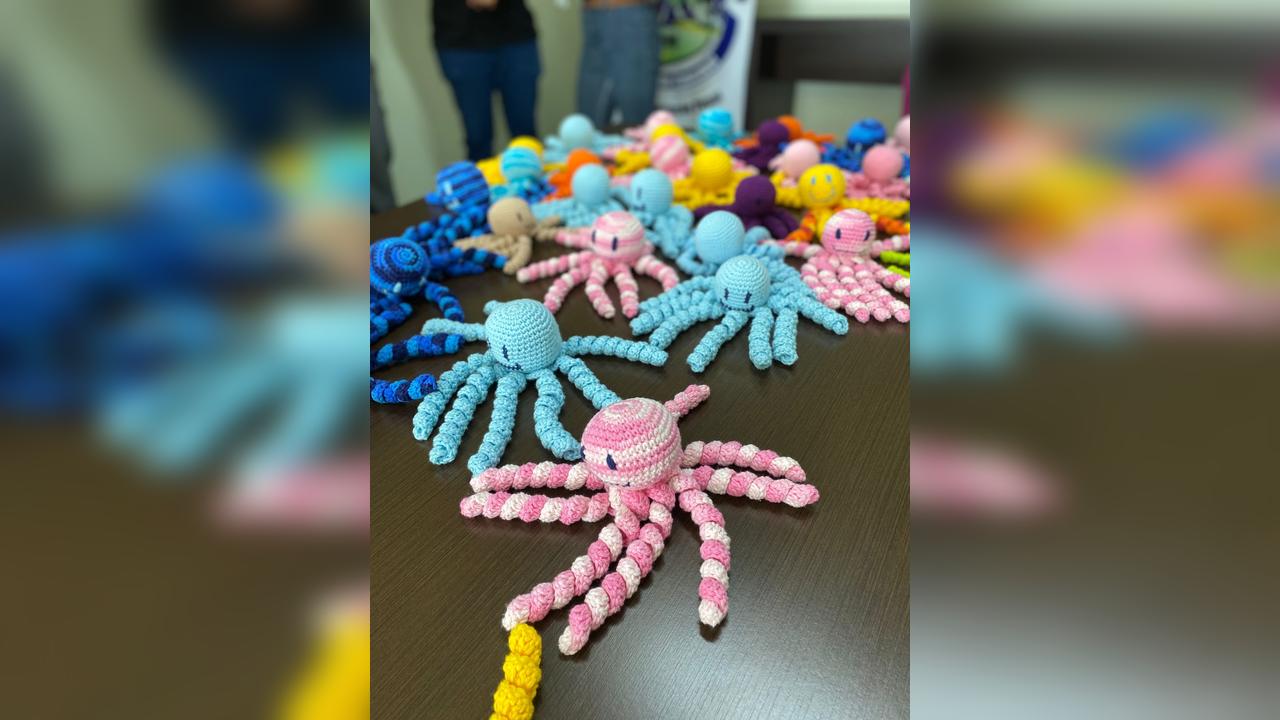 “Polvinhos” levam aconchego a recém-nascidos durante transporte pelo Consamu