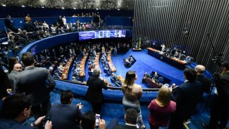 Senado reduz prazo de inelegibilidade previsto na Lei da Ficha Limpa