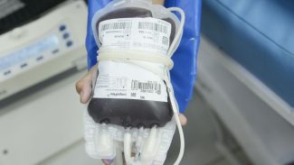 Estoque de sangue O negativo está crítico em hemocentro de Brasília
