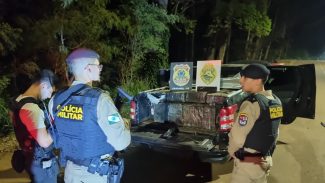 Polícia apreende grande quantidade de maconha em perseguição que terminou no XIV de Novembro