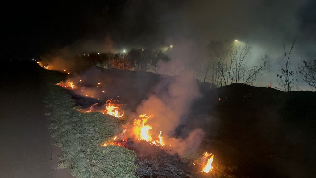 Grande área de vegetação pega fogo às margens da BR-369, em Cascavel