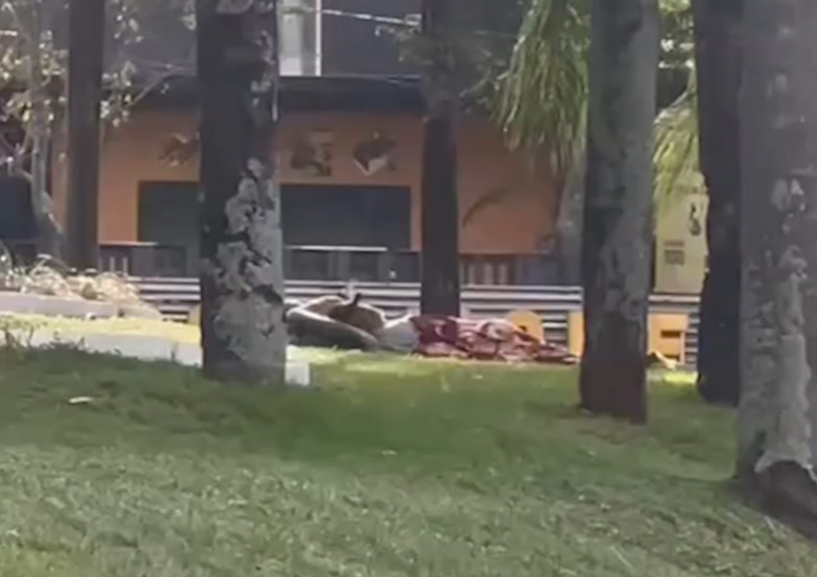População se revolta com moradores de rua que transformam praça pública em motel
