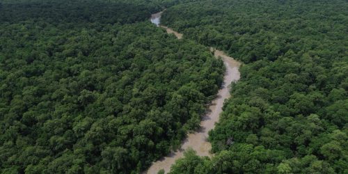 Imagem referente a Programação do Dia da Amazônia mobiliza para COP30
