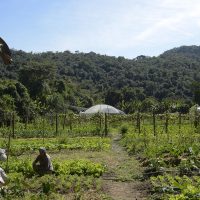 Imagem referente a Lula autoriza uso de R$ 12 bilhões para renegociação de dívidas rurais