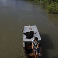 Imagem referente a Seguro-defeso do pescador artesanal terá novas regras em outubro