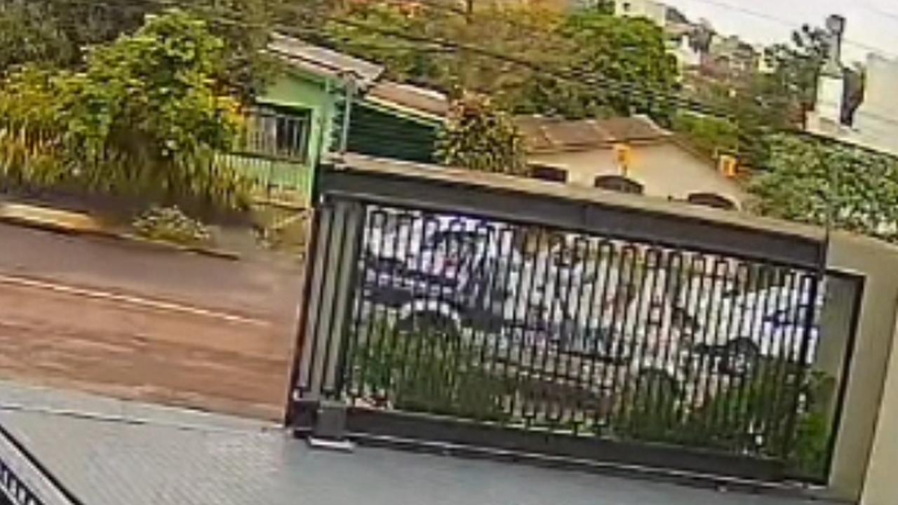 Vídeo: Caminhonete atropela cachorro no Bairro Parque São Paulo Vídeo: Caminhonete atropela cachorro no Bairro Parque São Paulo