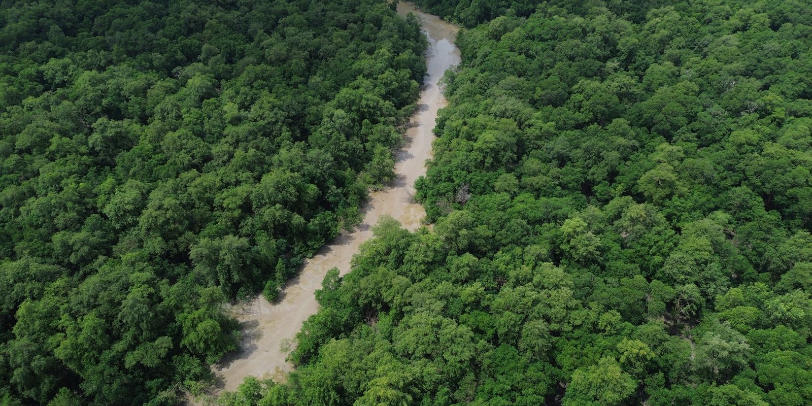 BNDES lança edital voltado para recuperação da floresta amazônia
