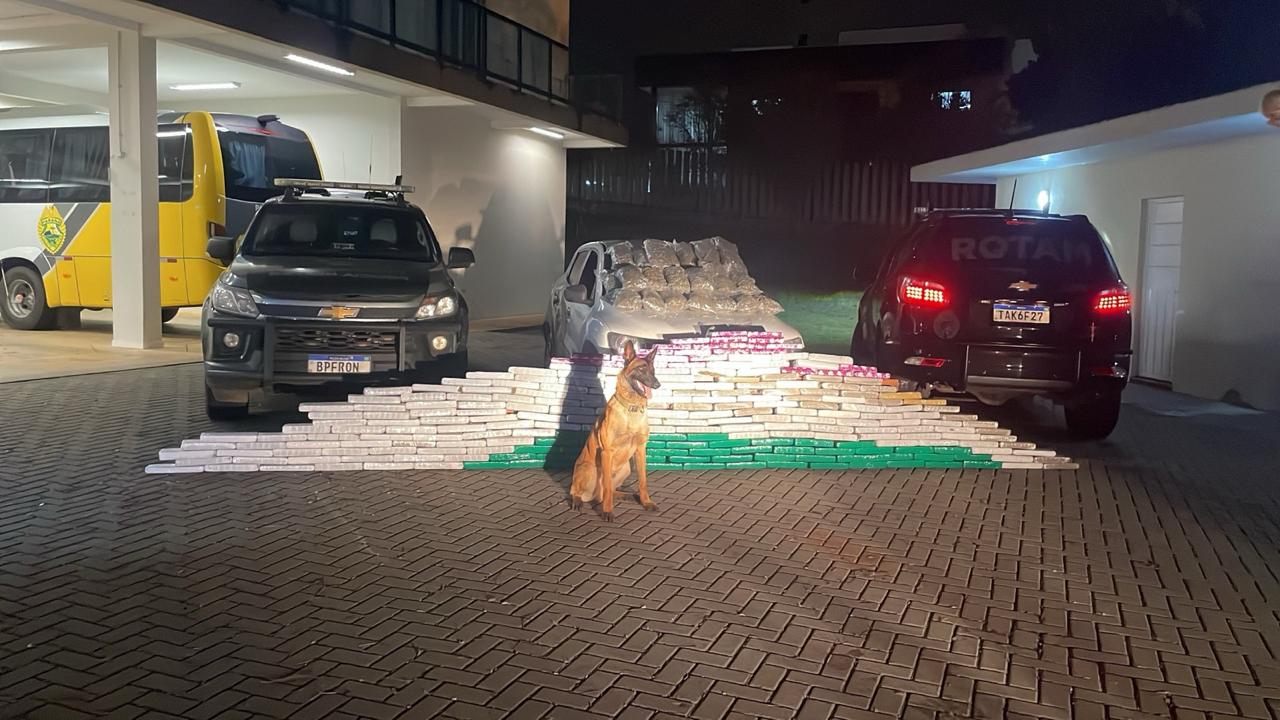 Ação conjunta resulta em prisão por tráfico de drogas em Francisco Beltrão