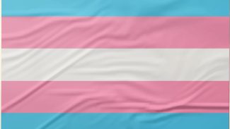 Pesquisa recomenda ações de prevenção ao HPV focadas em pessoas trans