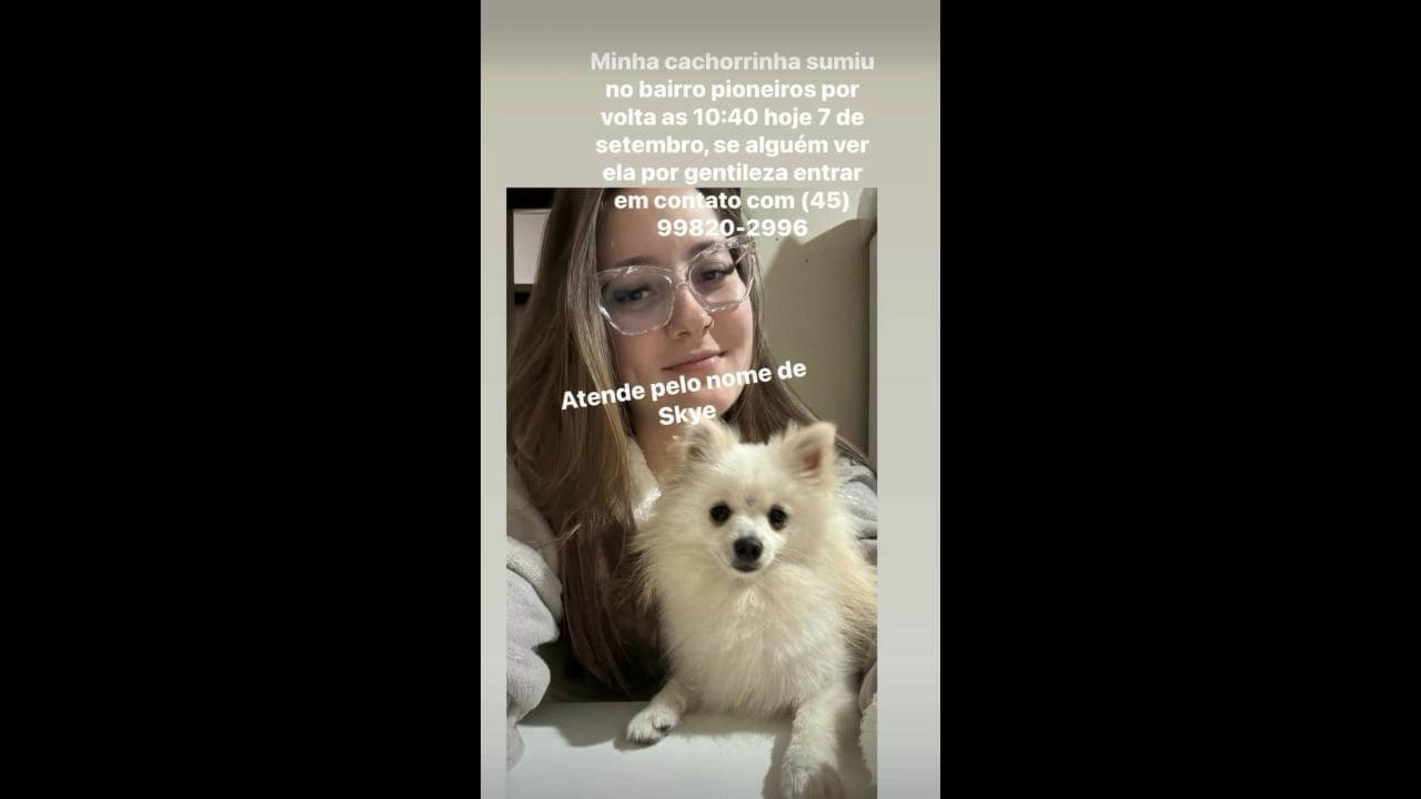 Cachorra Sky desapareceu no bairro Pioneiros Catarinenses