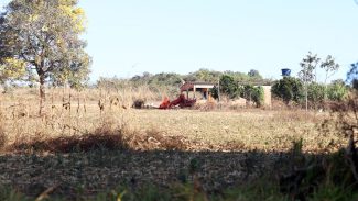 Defesa de fazendeiros em Goiás contesta decisão sobre quilombolas